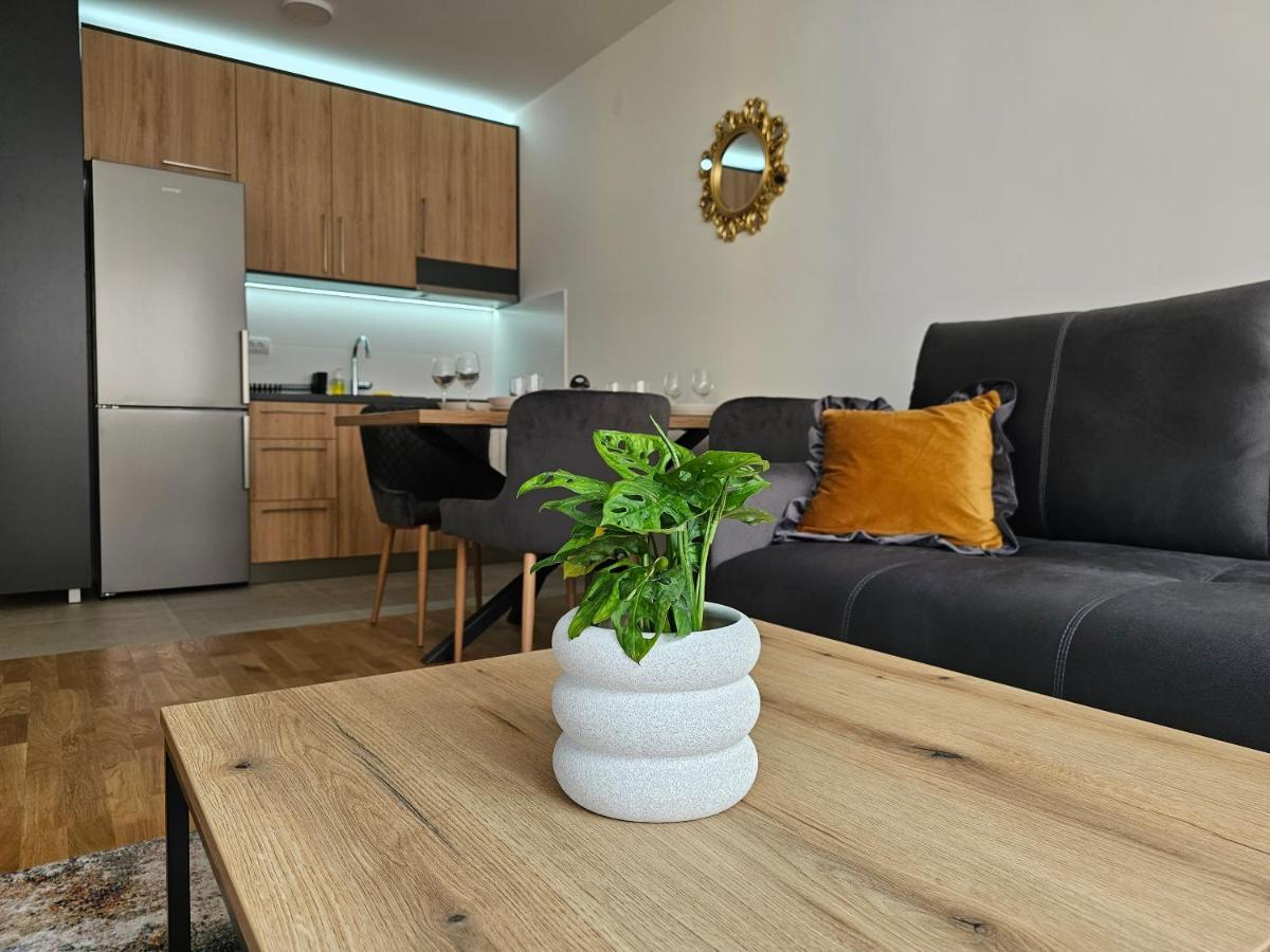 Sun&Moon Apartments Novi Sad Dış mekan fotoğraf